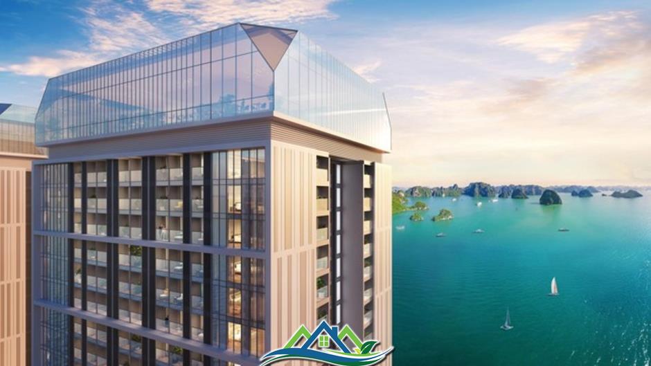 “Tọa độ” sinh lời mới của BĐS Hạ Long: Sun Centro Town thu hút giới đầu tư