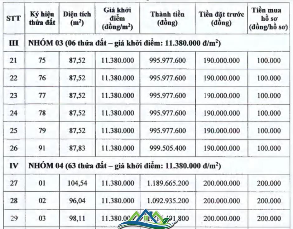 89 lô đất huyện ngoại thành Hà Nội lên 'sàn' sau bỏ cọc