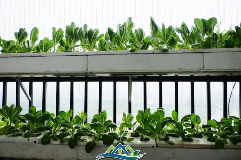 Ban công không chỉ để phơi: 7 Ban công không chỉ để phơi: 7