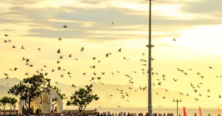Bất động sản Nha Trang đón sóng di cư