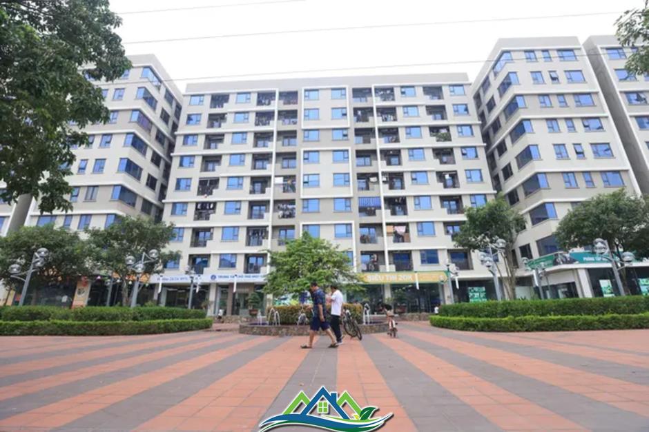 Bị 'kẹt' vì thu nhập dưới 15 triệu đồng/tháng mới đủ điều kiện mua nhà ở xã hội Bị 'kẹt' vì thu nhập dưới 15 triệu đồng/tháng mới đủ điều kiện mua nhà ở xã hội