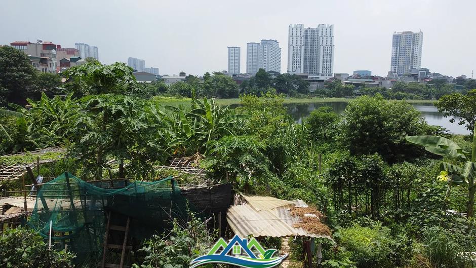 Các hồ lớn ở phường Định Công đang bị 'biến dạng' Các hồ lớn ở phường Định Công đang bị 'biến dạng'