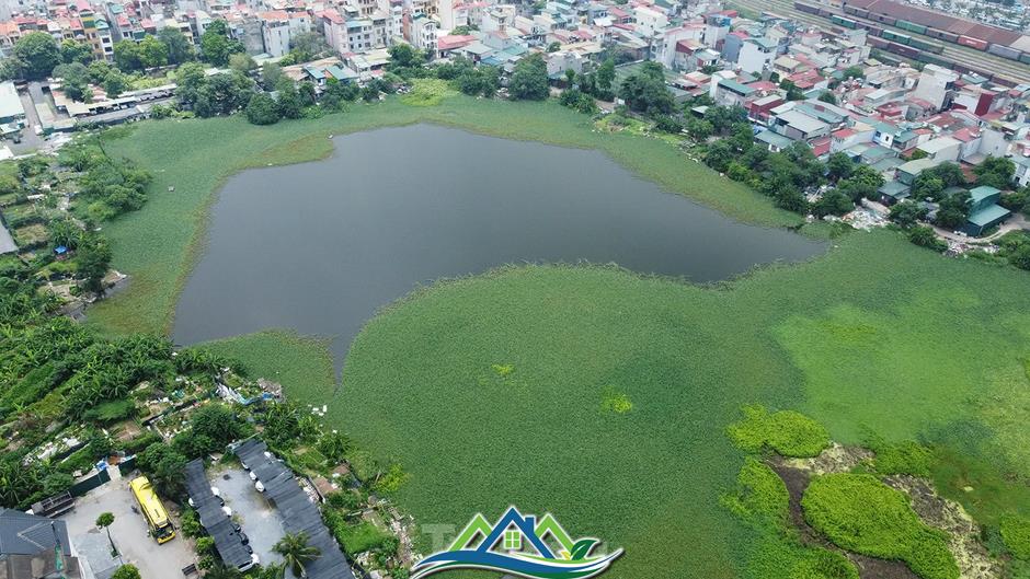 Các hồ lớn ở phường Định Công đang bị 'biến dạng' Các hồ lớn ở phường Định Công đang bị 'biến dạng'