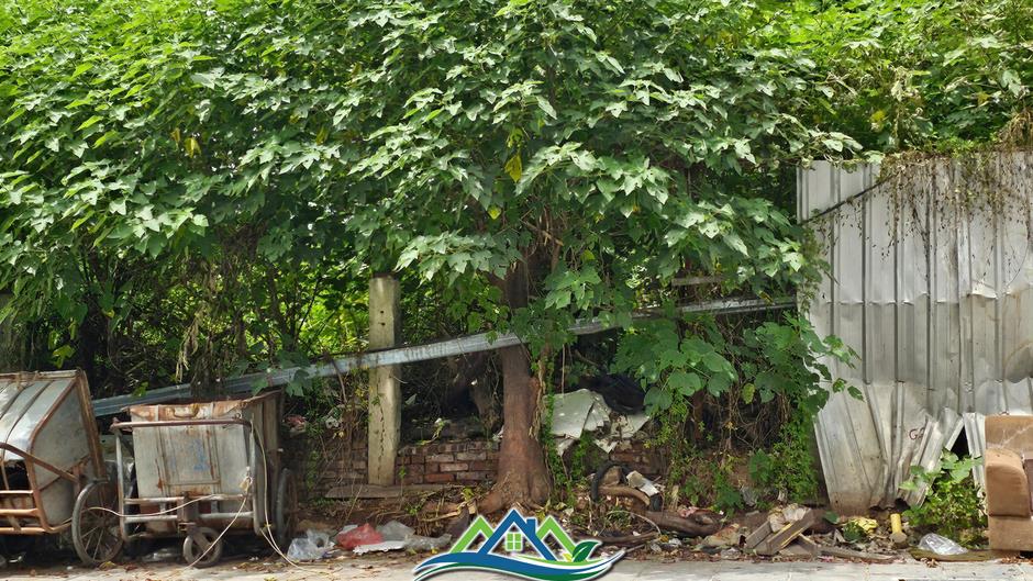 Cận cảnh khu 'đất vàng' cạnh Vành đai 3 được điều chỉnh nâng tầng, thêm căn hộ Cận cảnh khu 'đất vàng' cạnh Vành đai 3 được điều chỉnh nâng tầng, thêm căn hộ