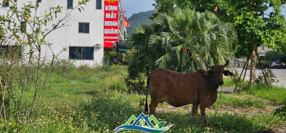 Cận cảnh khu đô thị hơn 1.400 tỉ đồng quá hạn tiến độ 6 năm vẫn chưa hoàn thành Cận cảnh khu đô thị hơn 1.400 tỉ đồng quá hạn tiến độ 6 năm vẫn chưa hoàn thành