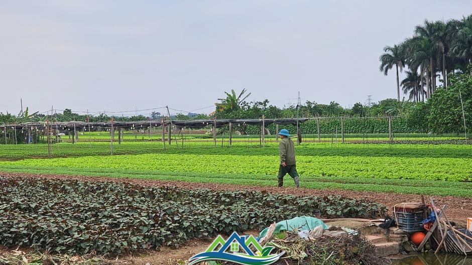 Cận cảnh siêu dự án tỷ đô 'treo' 17 năm, Chủ tịch Hà Nội lệnh khởi công trước ngày 2/9