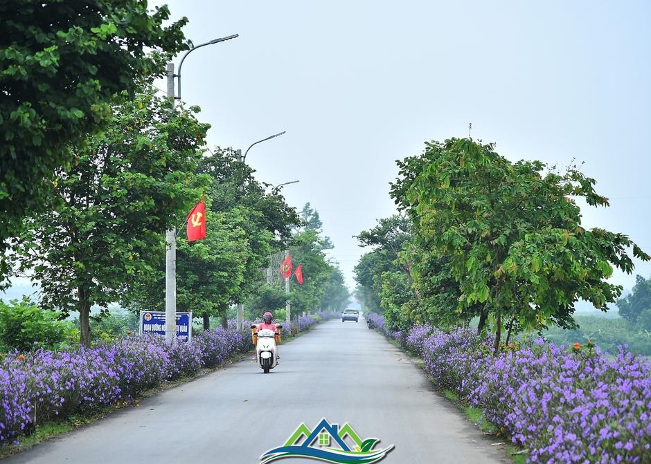 Cần gỡ “nút thắt” bảng giá đất: Nhiều địa phương đang đứng trước áp lực điều chỉnh Cần gỡ “nút thắt” bảng giá đất: Nhiều địa phương đang đứng trước áp lực điều chỉnh