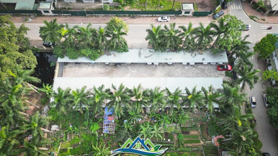 Cảnh hoang tàn, lãng phí tại khu tái định cư bị 'bỏ mặc' giữa Thủ đô