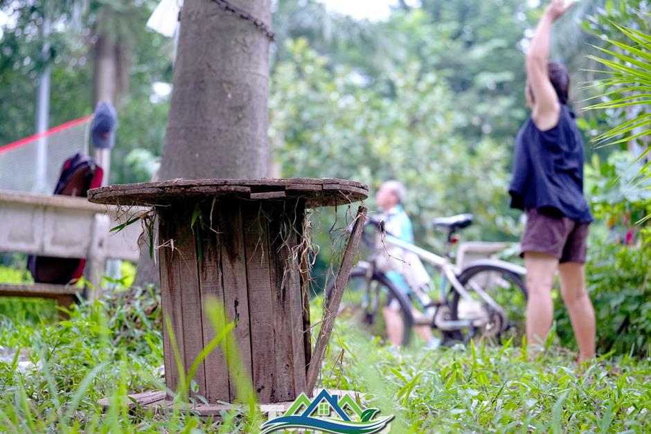 Cảnh hoang tàn, xuống cấp tại vườn hoa 52 tỷ ở Hà Nội