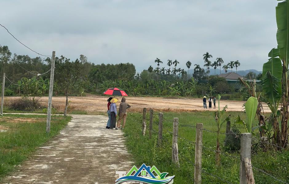 Cảnh tượng ‘cò đất’ ùn ùn đổ về, ô tô đậu kín đường làng sau công bố quy hoạch