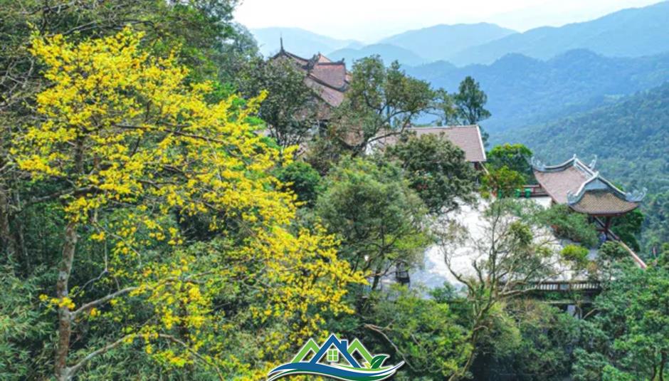 Chi tiết 54 đơn vị hành chính mới sau sáp nhập của Quảng Ninh Chi tiết 54 đơn vị hành chính mới sau sáp nhập của Quảng Ninh