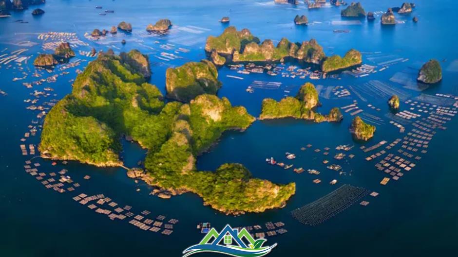 Chi tiết 54 đơn vị hành chính mới sau sáp nhập của Quảng Ninh Chi tiết 54 đơn vị hành chính mới sau sáp nhập của Quảng Ninh