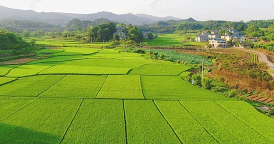 Chi tiết về hồ sơ, thủ tục khi người dân muốn xây nhà trên đất nông nghiệp theo Luật Đất đai mới