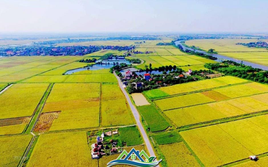 Chuyển đất nông nghiệp sang đất ở: Hoảng hốt tiền sử dụng đất cao đột biến