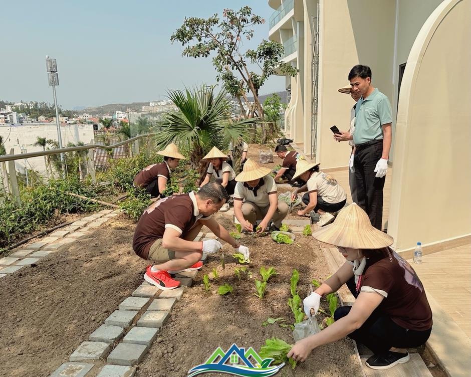 Citadines Marina Halong – Trải nghiệm nghỉ dưỡng sống xanh giữa lòng Hạ Long Citadines Marina Halong – Trải nghiệm nghỉ dưỡng sống xanh giữa lòng Hạ Long