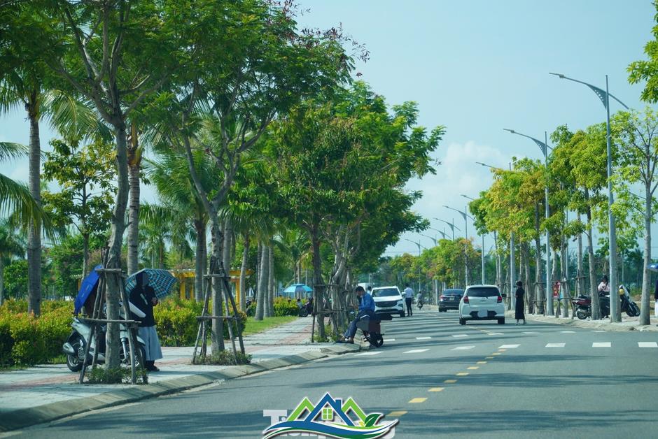 'Cò' nườm nượp, đất Đà Nẵng nhảy giá chóng mặt 'Cò' nườm nượp, đất Đà Nẵng nhảy giá chóng mặt