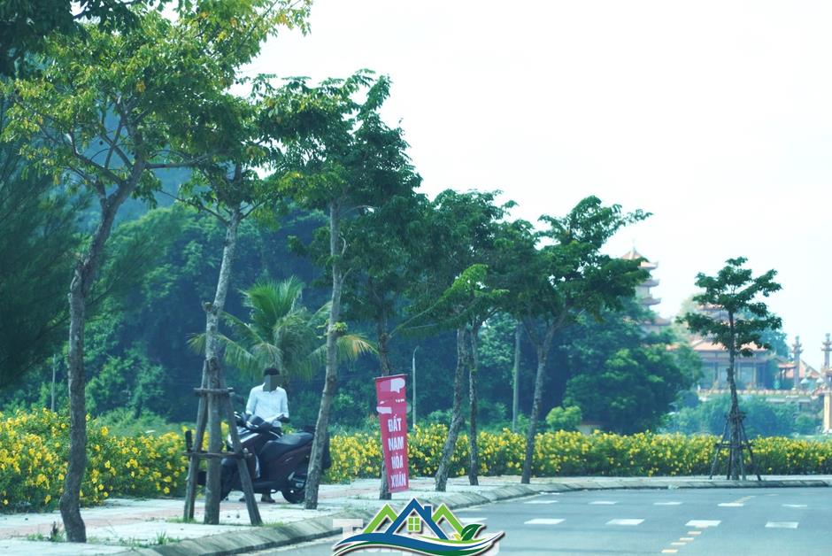 'Cò' nườm nượp, đất Đà Nẵng nhảy giá chóng mặt 'Cò' nườm nượp, đất Đà Nẵng nhảy giá chóng mặt
