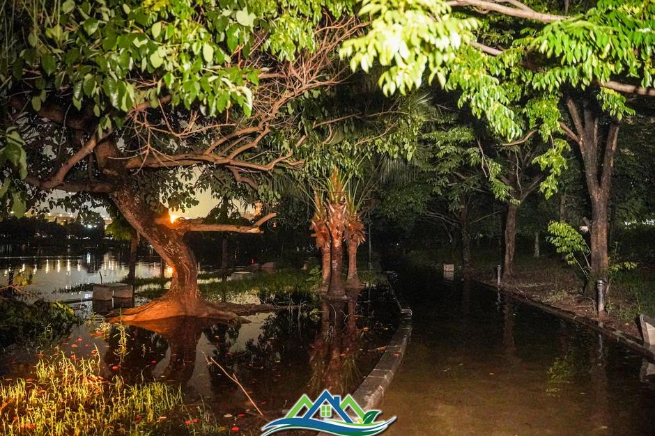 Công viên thành sông sau mưa, người Hà Nội bì bõm bắt cá giữa đêm Công viên thành sông sau mưa, người Hà Nội bì bõm bắt cá giữa đêm