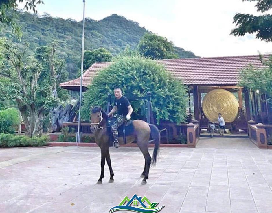Cuộc sống xa hoa, thú chơi dị thường của ông trùm Vi 'ngộ' khét tiếng xứ Thanh Cuộc sống xa hoa, thú chơi dị thường của ông trùm Vi 'ngộ' khét tiếng xứ Thanh