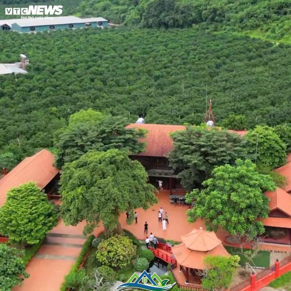 Cuộc sống xa hoa, thú chơi dị thường của ông trùm Vi 'ngộ' khét tiếng xứ Thanh Cuộc sống xa hoa, thú chơi dị thường của ông trùm Vi 'ngộ' khét tiếng xứ Thanh