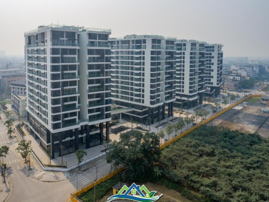 Đặt giá căn hộ Sunshine Green Iconic khởi điểm 4,5 tỷ trên livestream Sunshine Group ngày 26/8 Đặt giá căn hộ Sunshine Green Iconic khởi điểm 4,5 tỷ trên livestream Sunshine Group ngày 26/8