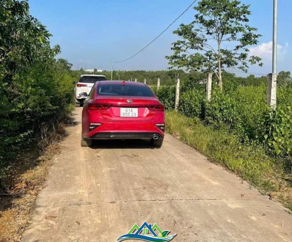 Đất vườn phía Nam có diễn biến “lạ” Đất vườn phía Nam có diễn biến “lạ”