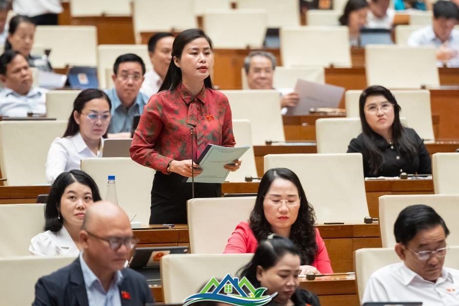 ĐBQH đề nghị Chính phủ nêu giải pháp sắp xếp cán bộ, trụ sở dôi dư sau sáp nhập