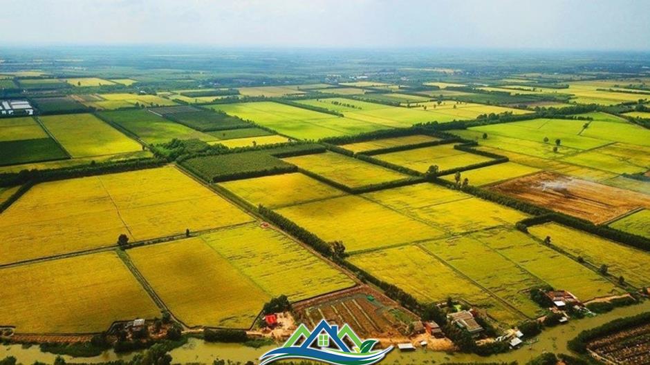 Đề xuất quy định hướng dẫn việc kéo dài thời hạn miễn thuế sử dụng đất nông nghiệp Đề xuất quy định hướng dẫn việc kéo dài thời hạn miễn thuế sử dụng đất nông nghiệp