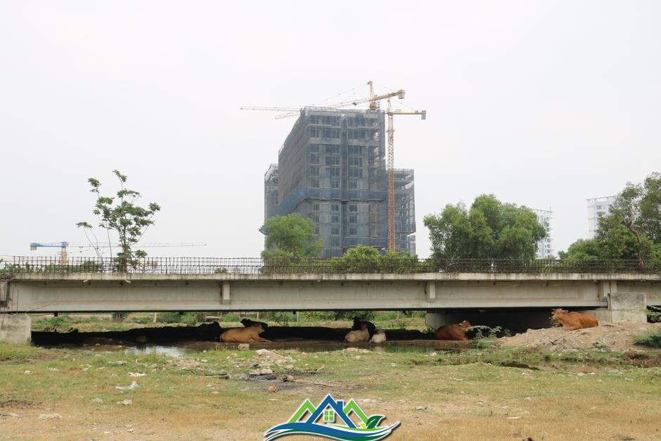 Đoạn Vành đai 2 “ngủ quên” giữa lòng TP Thủ Đức Đoạn Vành đai 2 “ngủ quên” giữa lòng TP Thủ Đức
