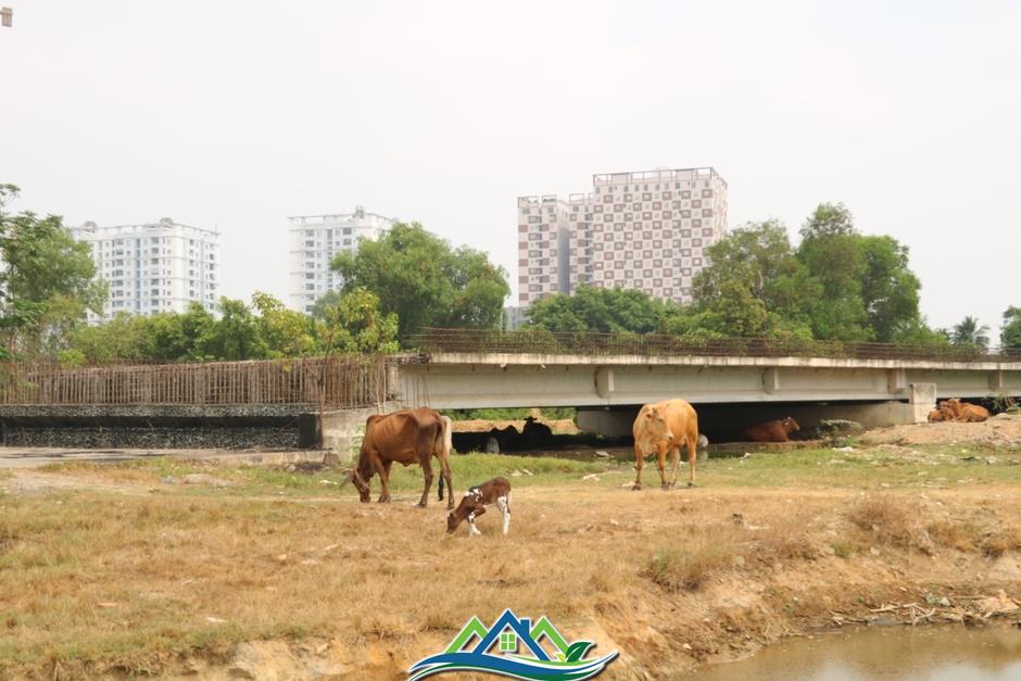 Đoạn Vành đai 2 “ngủ quên” giữa lòng TP Thủ Đức Đoạn Vành đai 2 “ngủ quên” giữa lòng TP Thủ Đức