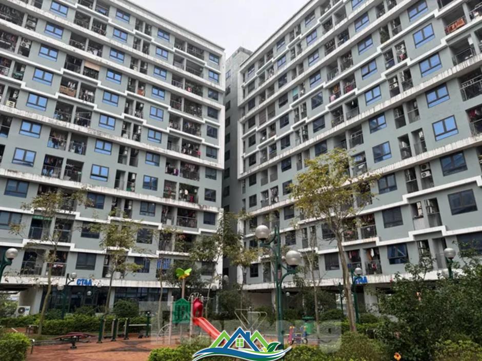 Doanh nghiệp Nhà nước nên hướng vào làm nhà ở giá rẻ Doanh nghiệp Nhà nước nên hướng vào làm nhà ở giá rẻ