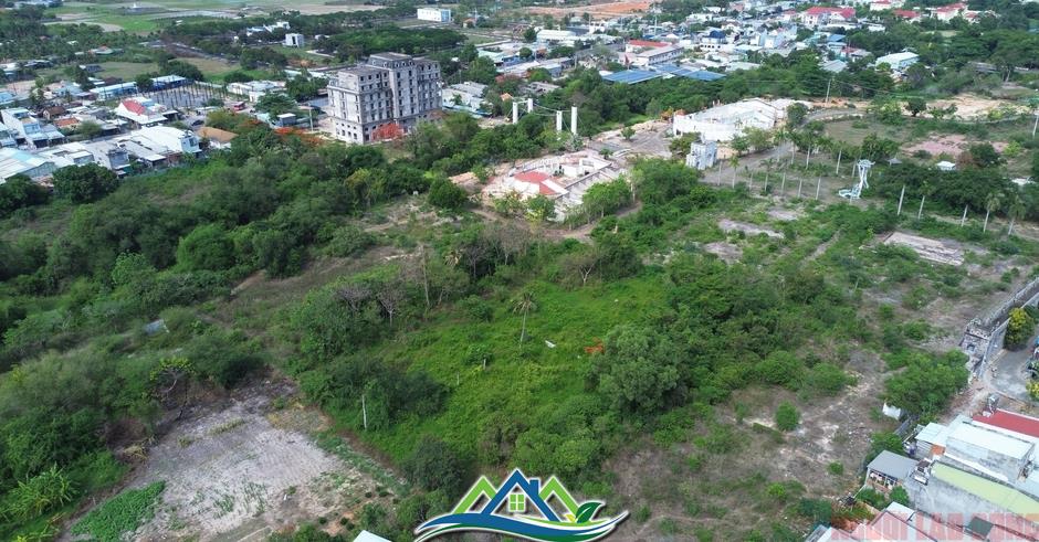 Dự án du lịch trăm tỉ ngay cửa ngõ Phan Thiết bỏ hoang hơn 10 năm Dự án du lịch trăm tỉ ngay cửa ngõ Phan Thiết bỏ hoang hơn 10 năm