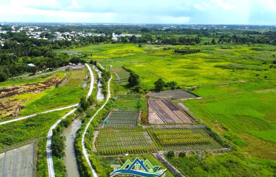 Dự án nhà ở bỏ hoang 17 năm trên 'đất vàng' TPHCM chính thức bị thu hồi Dự án nhà ở bỏ hoang 17 năm trên 'đất vàng' TPHCM chính thức bị thu hồi