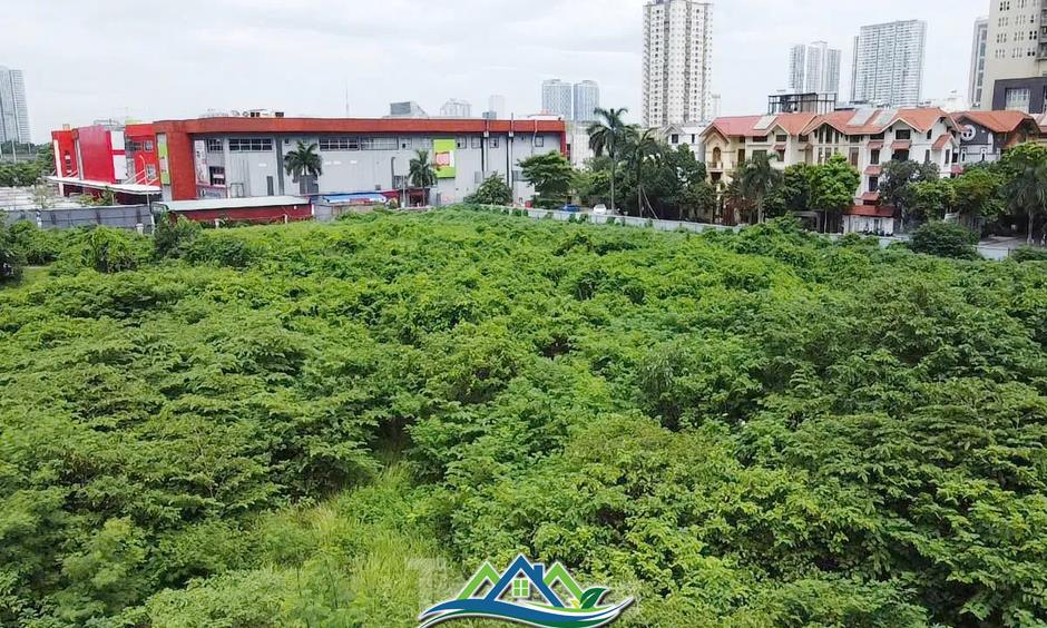 Dự án tháp tài chính gần 4.000 tỷ đồng ở Hà Nội 'hoá rừng' sau 20 năm ôm đất lãng phí Dự án tháp tài chính gần 4.000 tỷ đồng ở Hà Nội 'hoá rừng' sau 20 năm ôm đất lãng phí