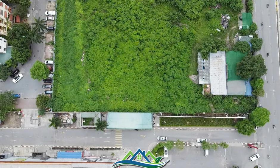 Dự án tháp tài chính gần 4.000 tỷ đồng ở Hà Nội 'hoá rừng' sau 20 năm ôm đất lãng phí Dự án tháp tài chính gần 4.000 tỷ đồng ở Hà Nội 'hoá rừng' sau 20 năm ôm đất lãng phí