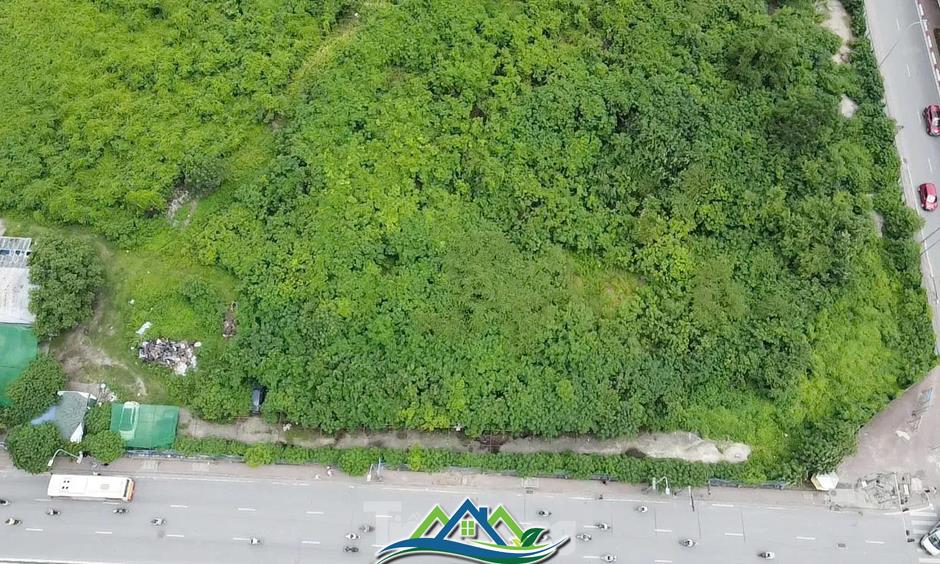 Dự án tháp tài chính gần 4.000 tỷ đồng ở Hà Nội 'hoá rừng' sau 20 năm ôm đất lãng phí Dự án tháp tài chính gần 4.000 tỷ đồng ở Hà Nội 'hoá rừng' sau 20 năm ôm đất lãng phí