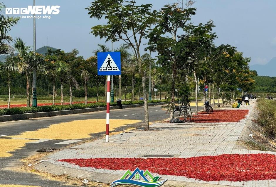 Đường hơn 34 tỷ nối Quốc lộ 1A ra giữa đồng, làm xong chỉ để phơi nông sản Đường hơn 34 tỷ nối Quốc lộ 1A ra giữa đồng, làm xong chỉ để phơi nông sản