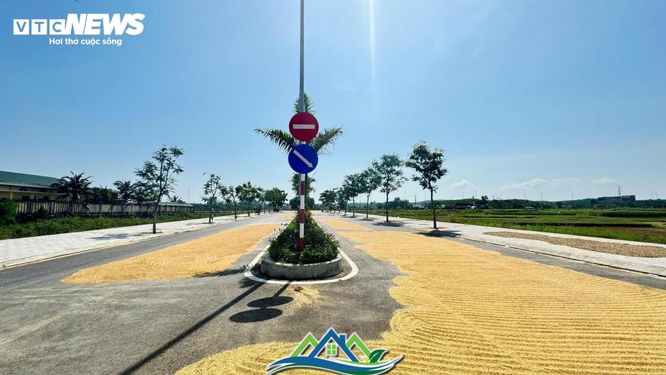 Đường hơn 34 tỷ nối Quốc lộ 1A ra giữa đồng, làm xong chỉ để phơi nông sản Đường hơn 34 tỷ nối Quốc lộ 1A ra giữa đồng, làm xong chỉ để phơi nông sản