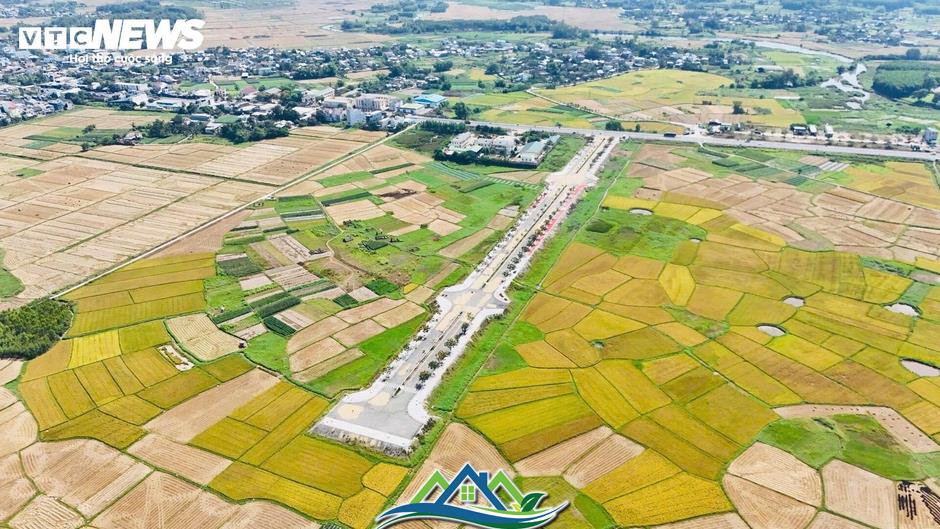 Đường hơn 34 tỷ nối Quốc lộ 1A ra giữa đồng, làm xong chỉ để phơi nông sản Đường hơn 34 tỷ nối Quốc lộ 1A ra giữa đồng, làm xong chỉ để phơi nông sản