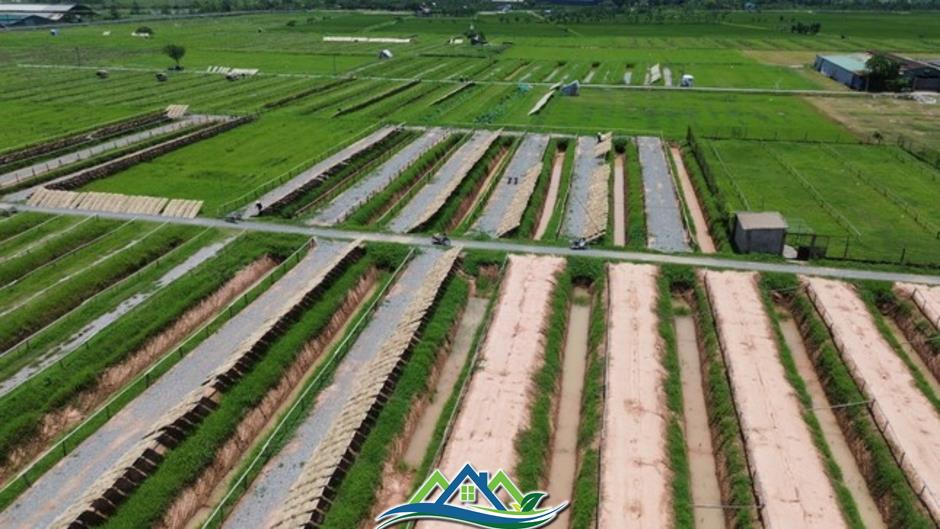 Hà Nội: Nhiều dự án cụm công nghiệp làng nghề vướng mặt bằng Hà Nội: Nhiều dự án cụm công nghiệp làng nghề vướng mặt bằng