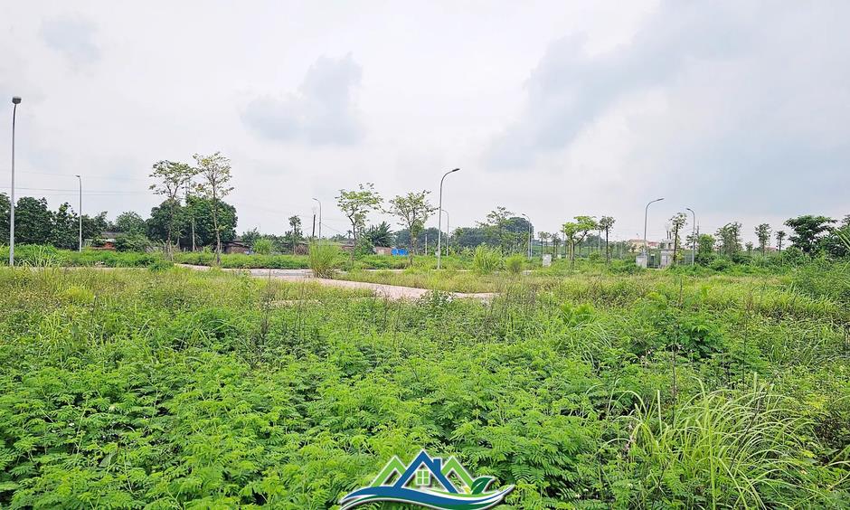 Hà Nội: Rầm rộ đấu giá đất rồi... bỏ hoang lãng phí Hà Nội: Rầm rộ đấu giá đất rồi... bỏ hoang lãng phí