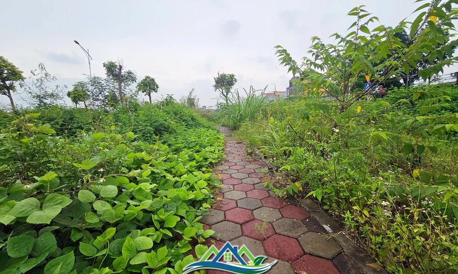 Hà Nội: Rầm rộ đấu giá đất rồi... bỏ hoang lãng phí Hà Nội: Rầm rộ đấu giá đất rồi... bỏ hoang lãng phí