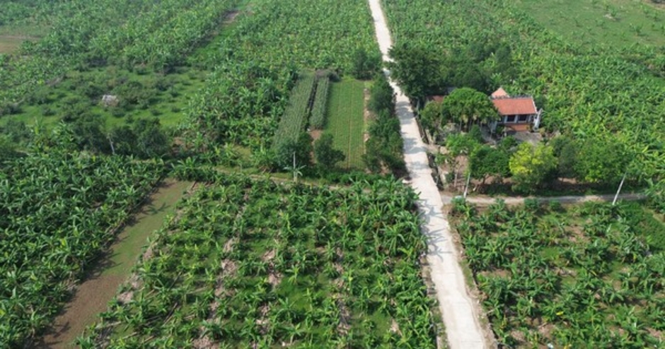Hà Nội: Rút gọn quy trình về đất đai và không thu phí để xóa nhà tạm, nhà dột nát