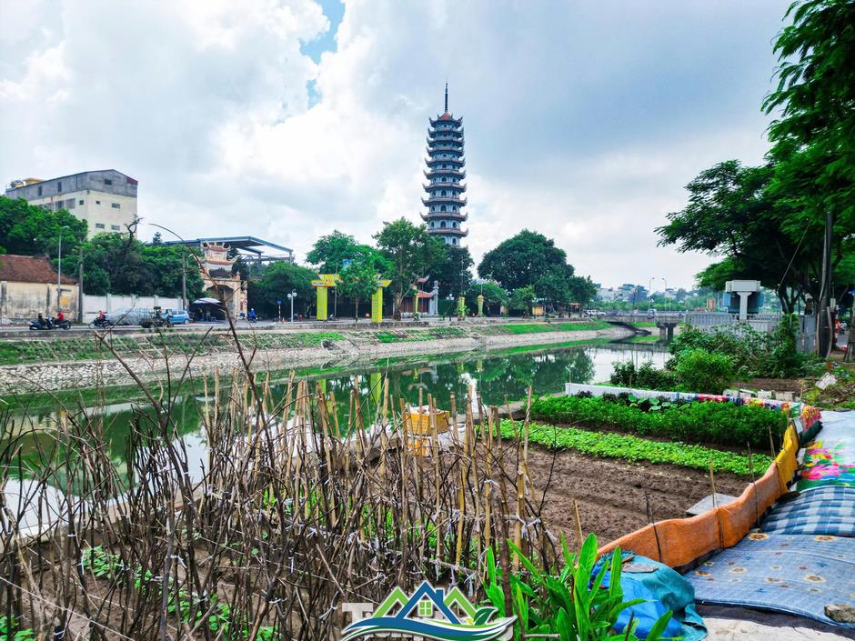 Hiện trạng sông Tô Lịch trước khi hóa công viên xanh
