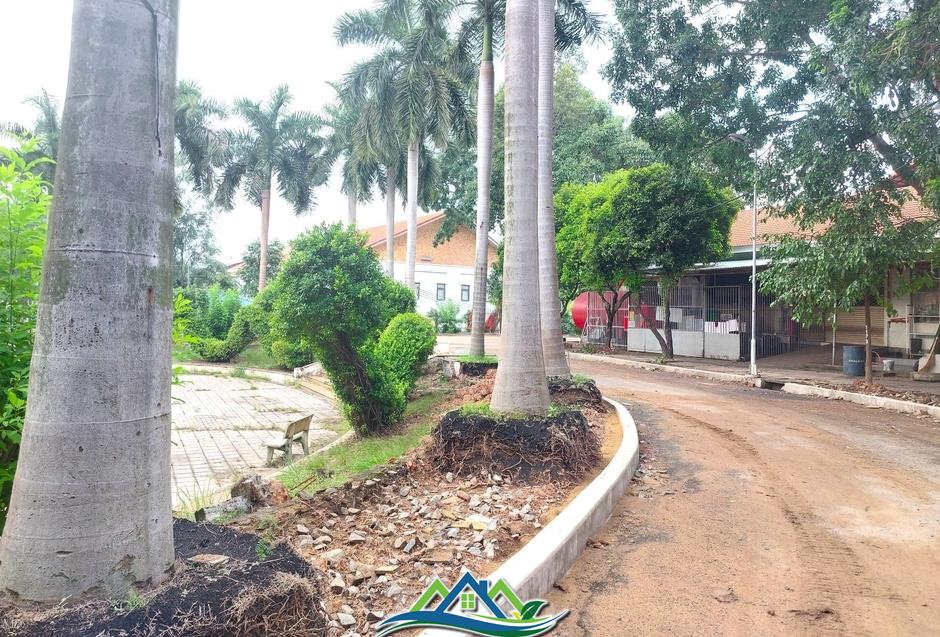 Hình ảnh công viên lớn nhất Bình Dương đang ‘lột xác’ trước khi về với TPHCM Hình ảnh công viên lớn nhất Bình Dương đang ‘lột xác’ trước khi về với TPHCM