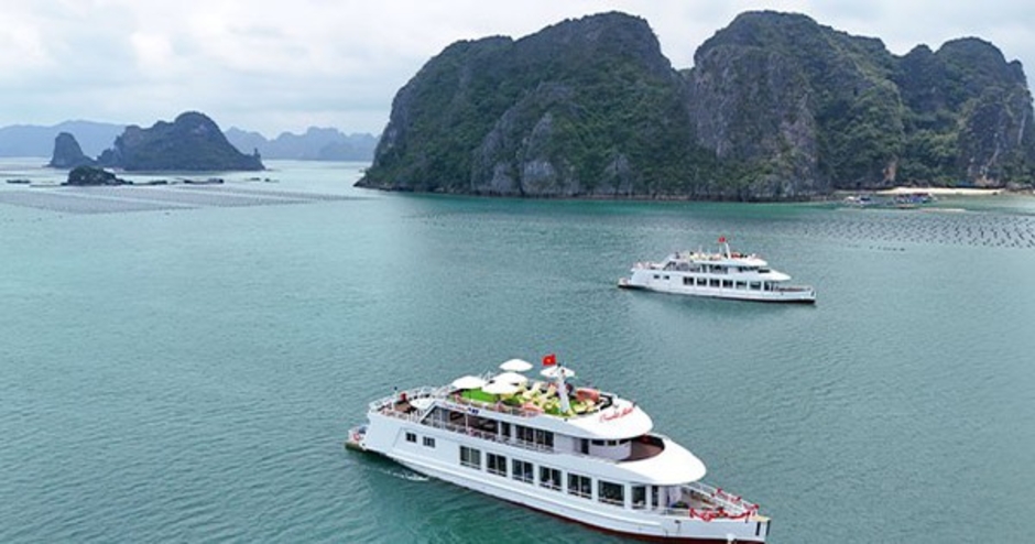 Khai trương đội tàu du lịch cao cấp trên Vịnh Bái Tử Long