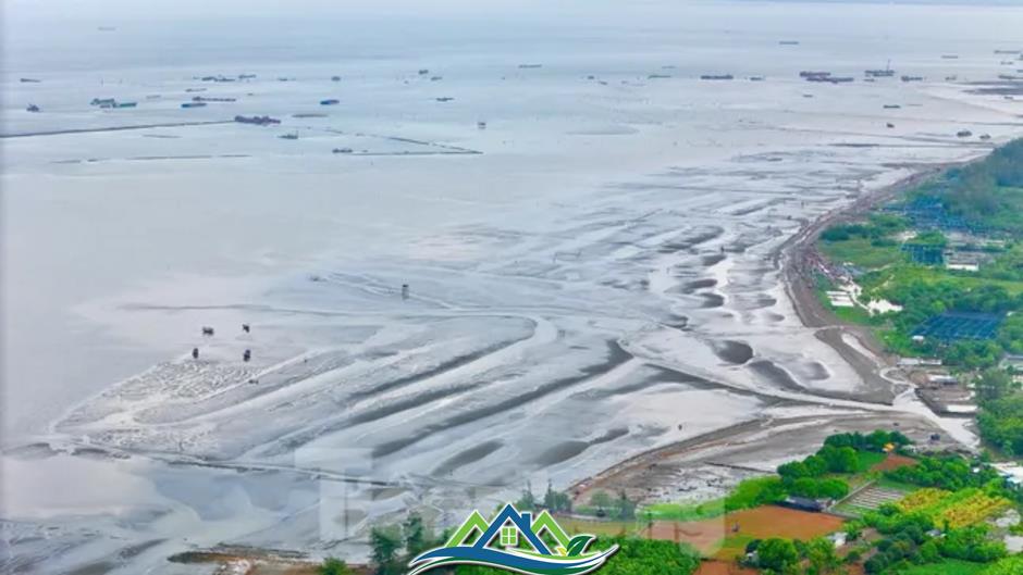 Lộ diện 'siêu' đô thị lấn biển Cần Giờ Lộ diện 'siêu' đô thị lấn biển Cần Giờ