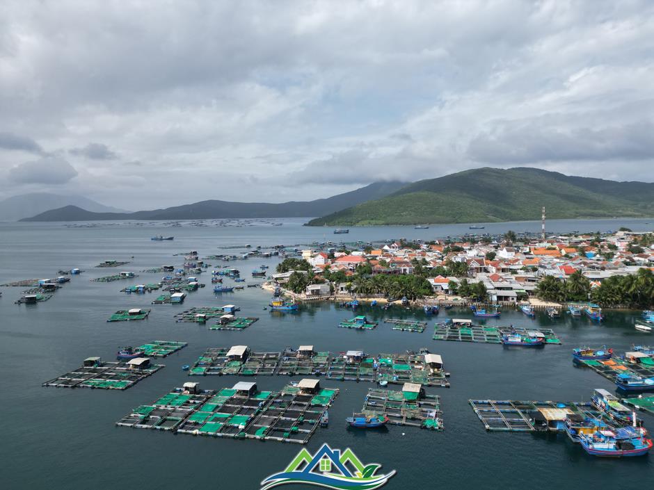 Loạt dự án của Sun Group, Eurowindow, Viglacera, Phương Mai…ở Vân Phong hiện nay thế nào? Loạt dự án của Sun Group, Eurowindow, Viglacera, Phương Mai…ở Vân Phong hiện nay thế nào?