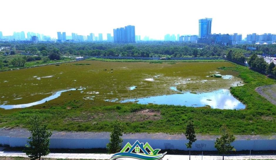 Lotte xin ngưng thực hiện dự án 'đất vàng' Thủ Thiêm Eco Smart City Lotte xin ngưng thực hiện dự án 'đất vàng' Thủ Thiêm Eco Smart City