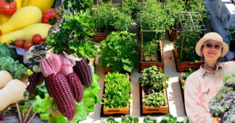 Mê mẩn khu vườn sân thượng đẹp 